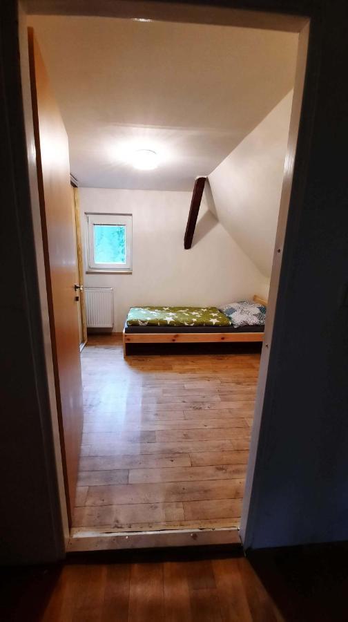 Dum U Lesa - Nove Hamry Villa Ngoại thất bức ảnh